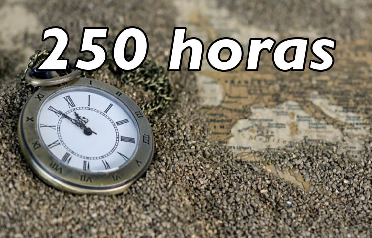 Cuántos días son 250 horas