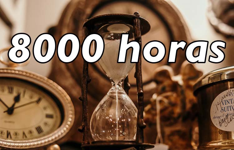 Cuántos días son 8000 horas