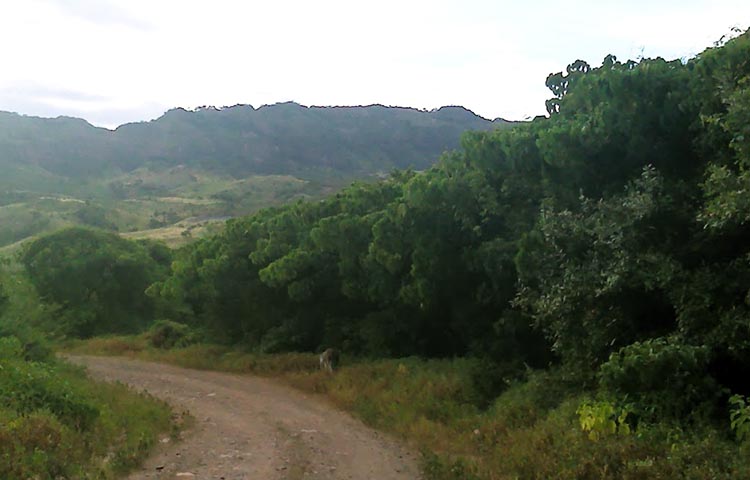 Cuántos municipios tiene el Departamento de El Paraíso