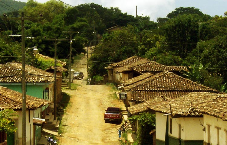 Cuántos municipios tiene el Departamento de Lempira