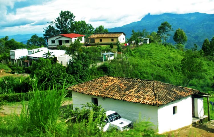 Cuántos municipios tiene el Departamento de Ocotepeque