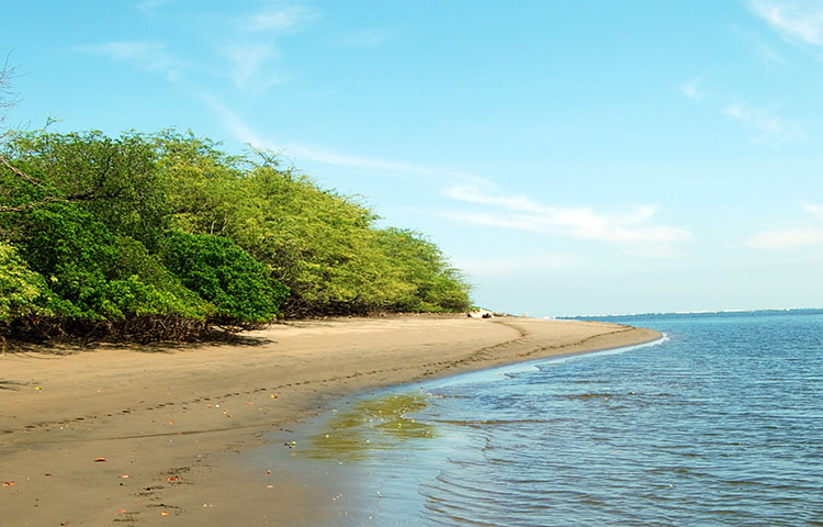 Cuántos municipios tiene el departamento de Chinandega