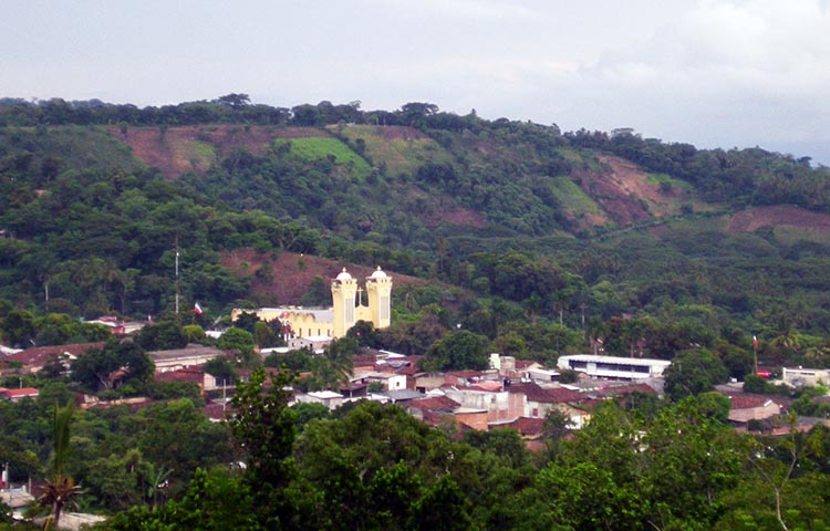 Cuántos municipios tiene el departamento de San Miguel