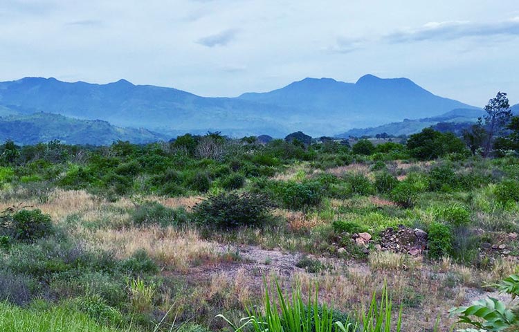 Cuántos municipios tiene el departamento de Santa Rosa