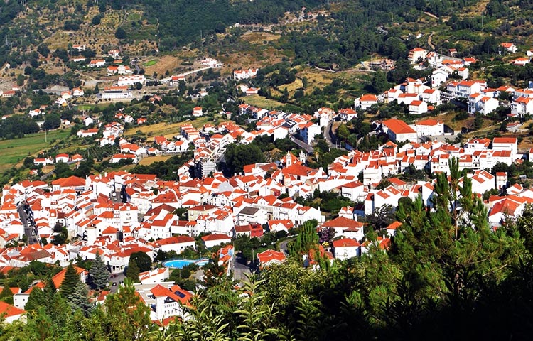 Cuántos municipios tiene el distrito de Guarda