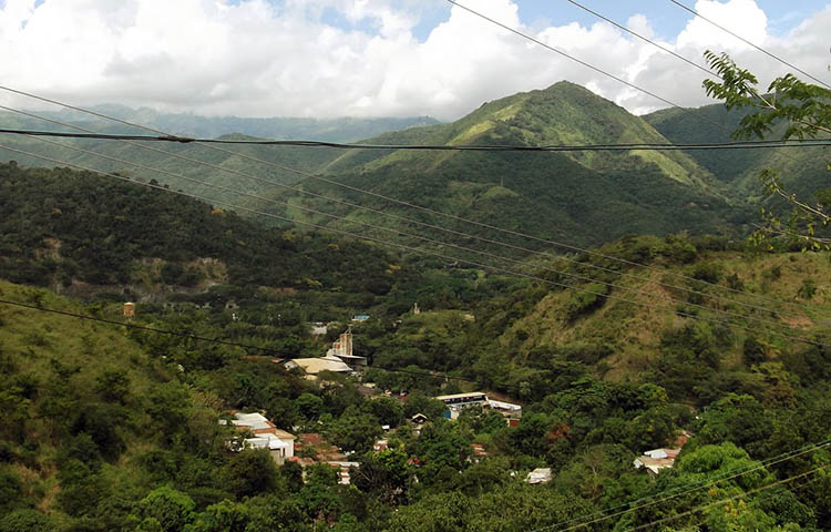 Cuántos municipios tiene el estado Aragua