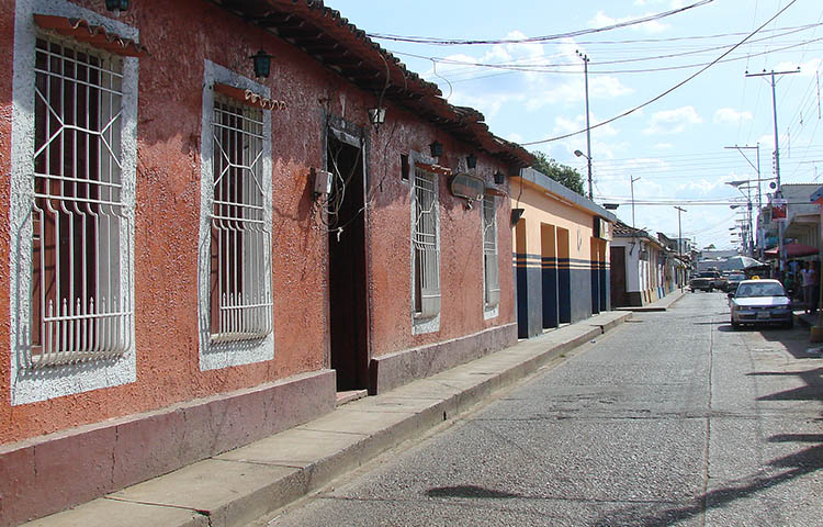 Cuántos municipios tiene el estado Guárico