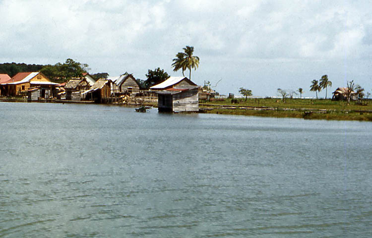 Cuántos municipios tiene la Región de la Costa Caribe Norte