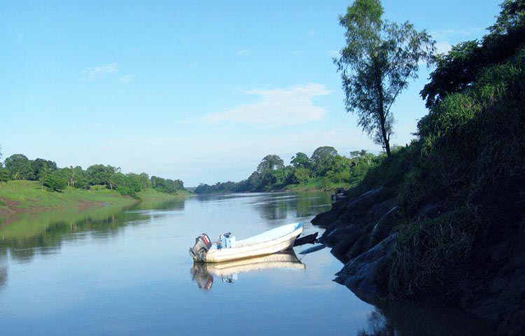 Cuántos municipios tiene la Región de la Costa Caribe Sur