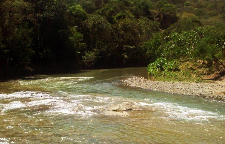 Cuántos municipios tiene la provincia de Elías Piña