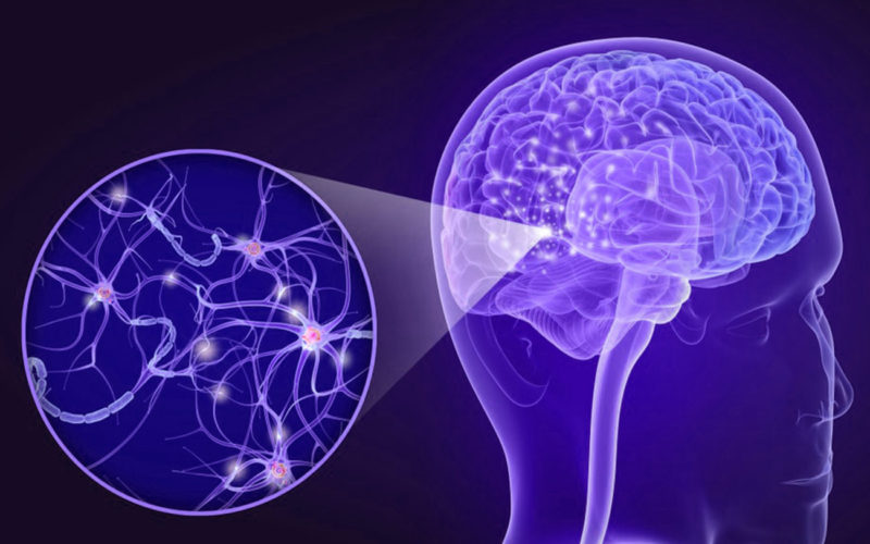 Diferencias entre EM y Parkinson