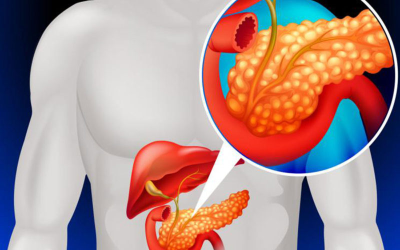 Diferencias entre amilasa pancreática y amilasa salival