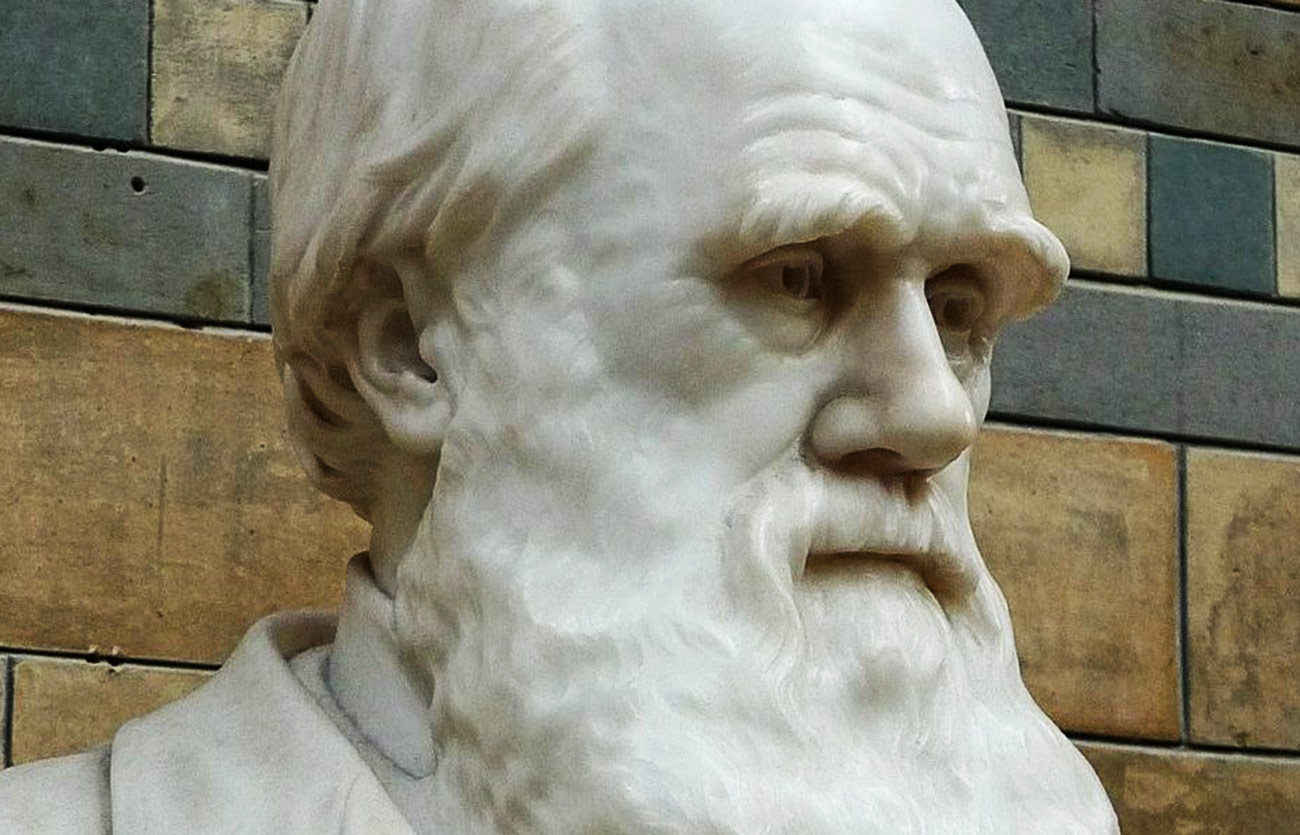 Diferencias entre el lamarckismo y el darwinismo