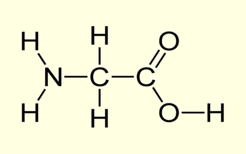 Diferencias entre la L-glicina y la glicina