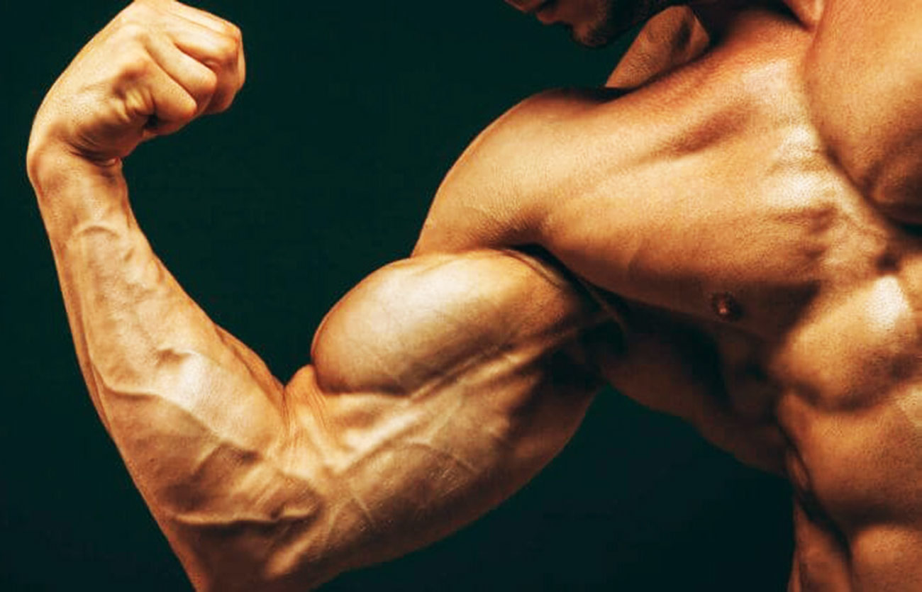 Руки рост мышц. Сила мышц. Мускулы человека. Сила мускулы. Мышцы: сила мышц..