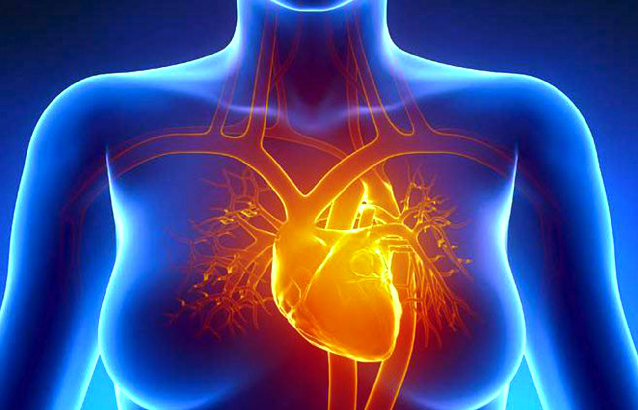 Diferencias entre la cardiomiopatía y la cardiomegalia