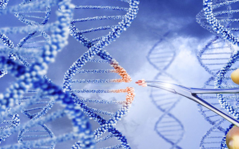 Diferencias entre la mutagénesis de sitio dirigido y la mutagénesis aleatoria