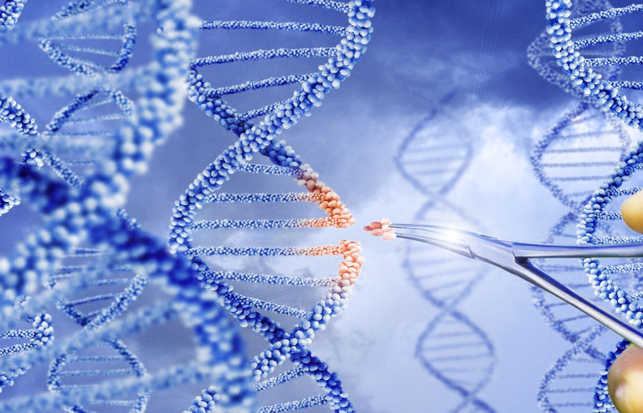 Diferencias entre la mutagénesis de sitio dirigido y la mutagénesis aleatoria