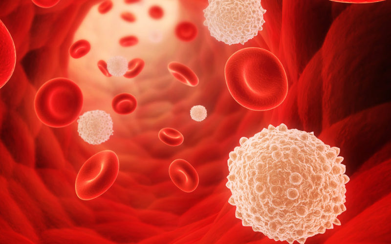 Diferencias entre la neutropenia y la leucopenia