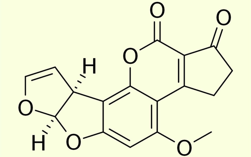 Diferencias entre micotoxina y aflatoxina