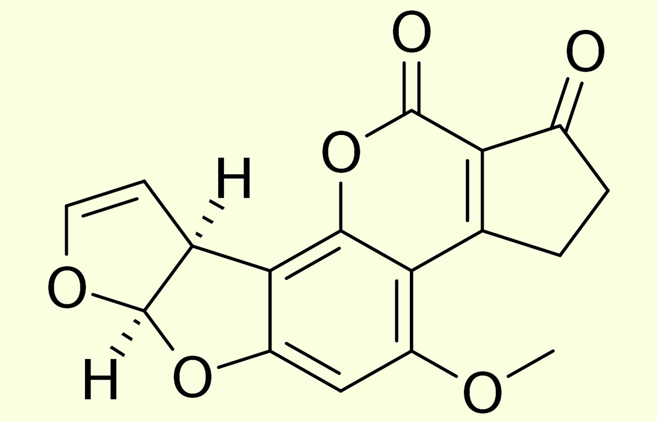 Diferencias entre micotoxina y aflatoxina