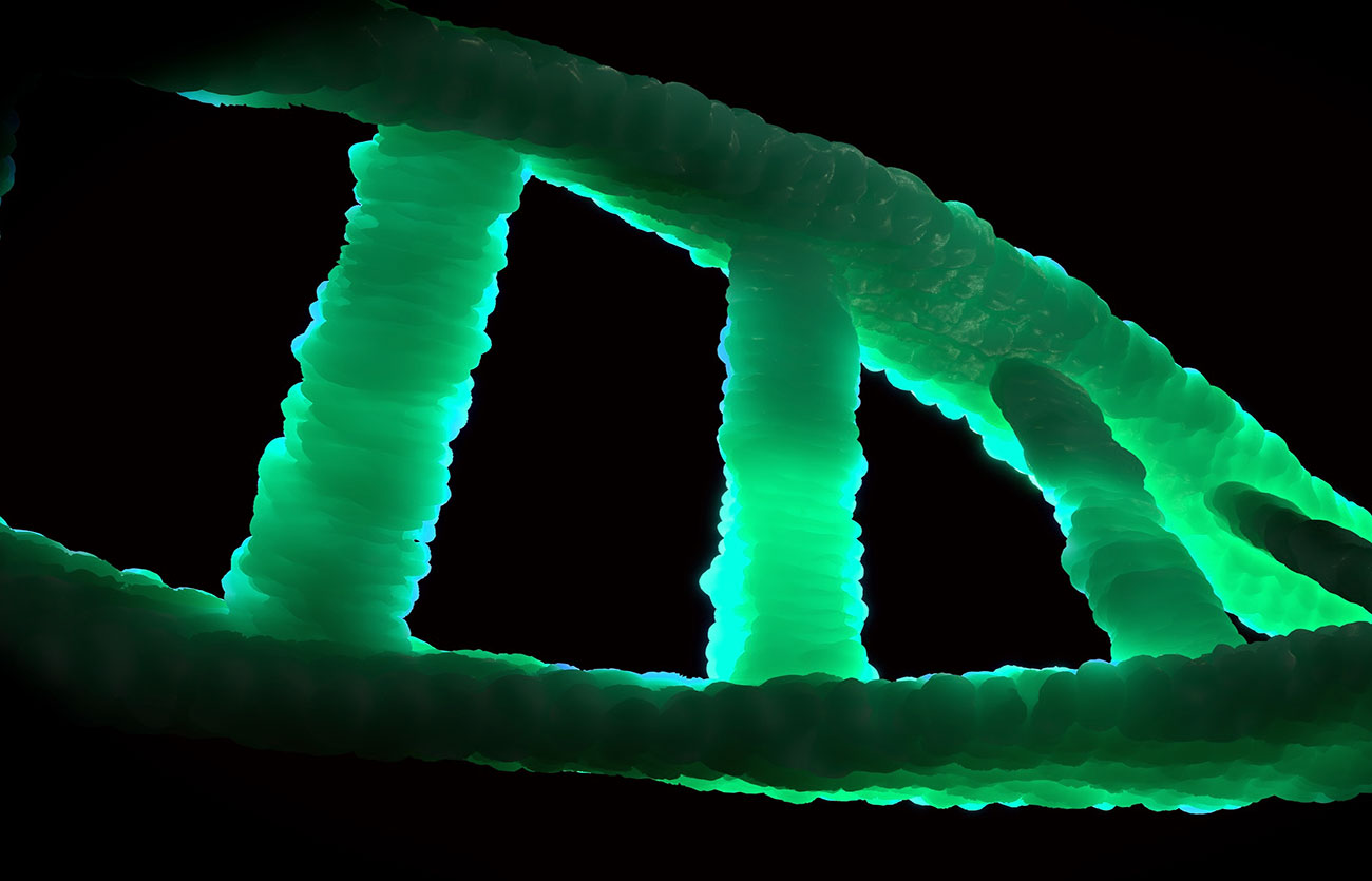 Diferencias entre pruebas de ADN paternas y ADN maternas