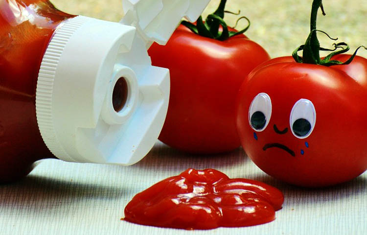 Diferencias entre salsa y ketchup