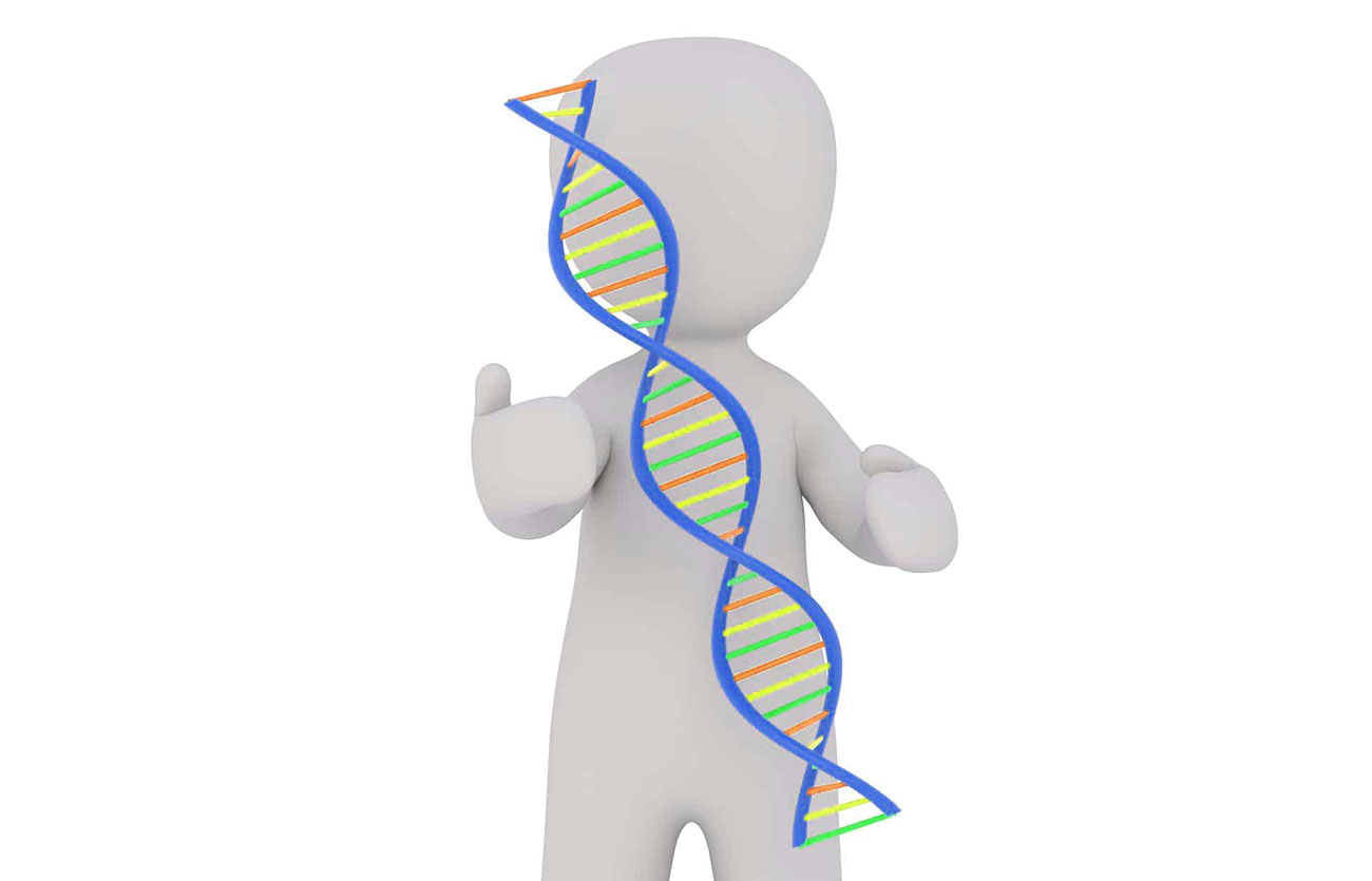 Diferencias entre terapia génica somática y terapia génica de línea germinal