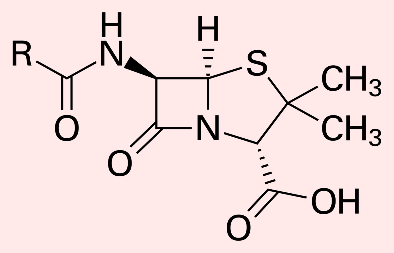 Diferencias entre la cefalosporina y la penicilina