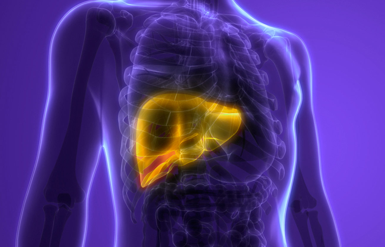 Diferencias entre la cirrosis y la fibrosis