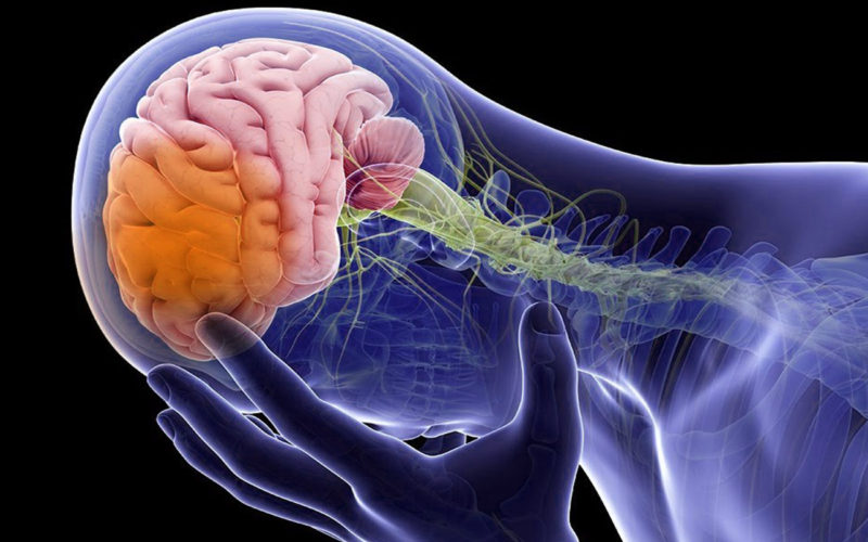 Diferencias entre la hidrocefalia y el edema cerebral