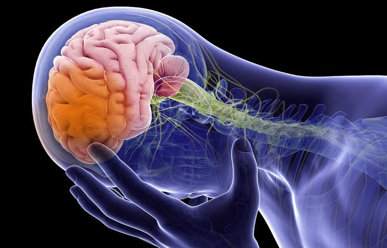 Diferencias entre la hidrocefalia y el edema cerebral