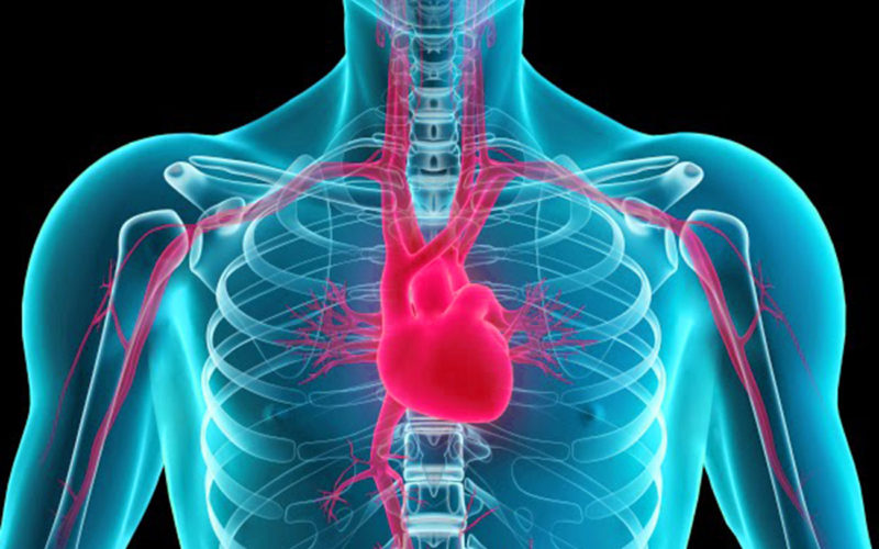 Diferencias entre la miocardiopatía y la insuficiencia cardíaca congestiva