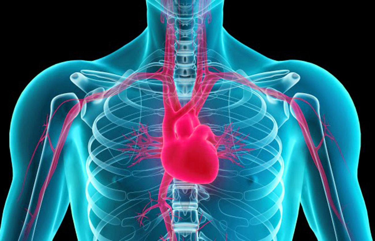 Diferencias entre la miocardiopatía y la insuficiencia cardíaca congestiva