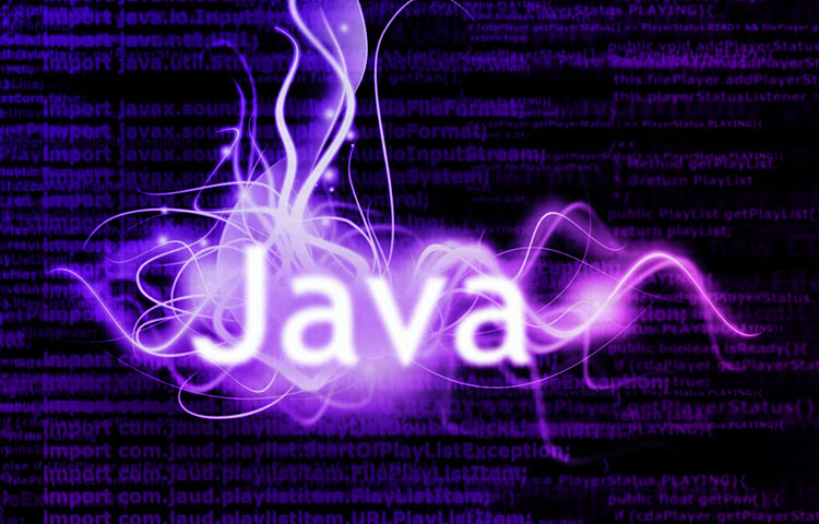 Diferencias entre Java y Oracle