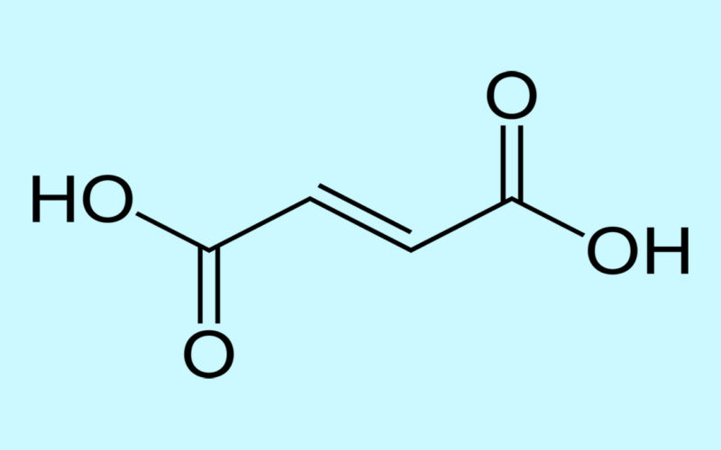 Diferencias entre el ácido fumárico y el ácido maleico