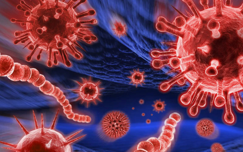 Diferencias entre el ureaplasma y el micoplasma