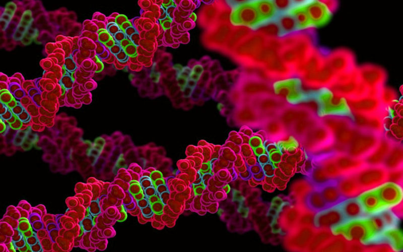 Diferencias entre la genética molecular y la citogenética