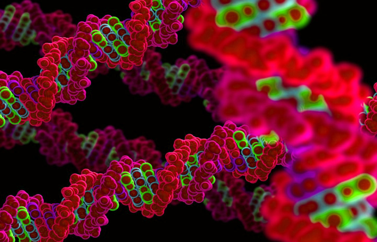 Diferencias entre la genética molecular y la citogenética