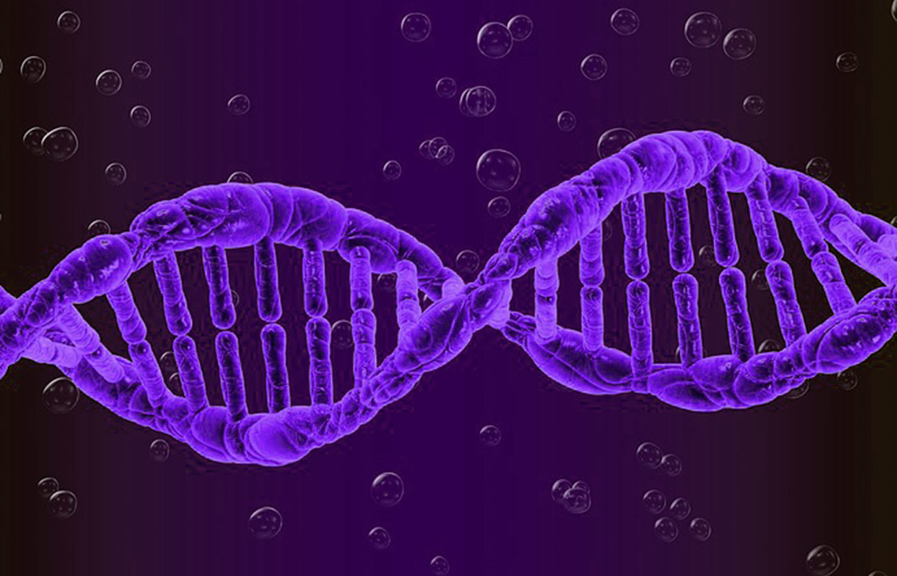 Diferencias entre la transmutación y la transformación