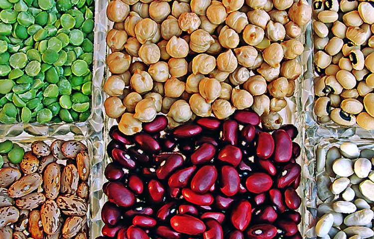 Diferencias entre nueces y legumbres