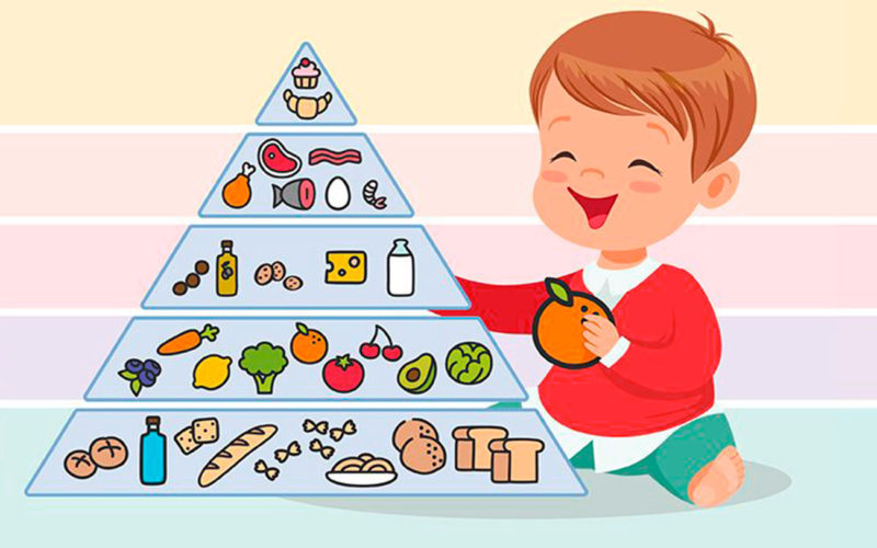 Cuál es la importancia de la pirámide alimenticia