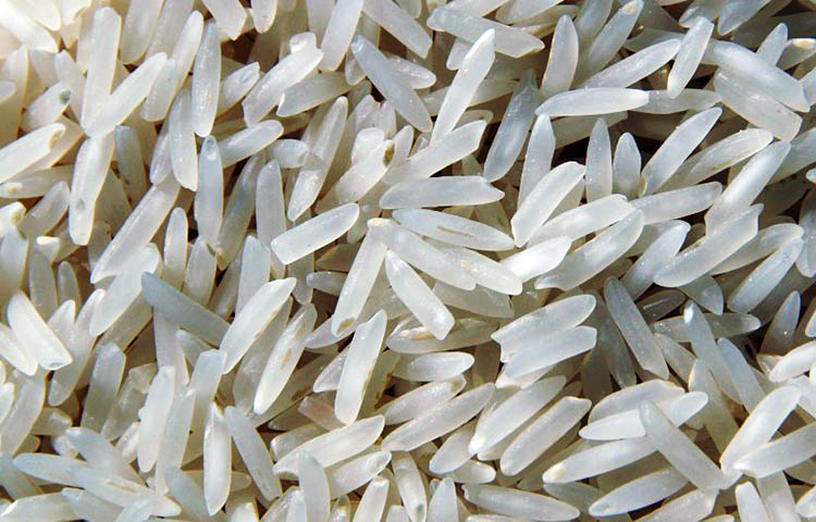 Diferencias entre arroz jazmín y arroz blanco