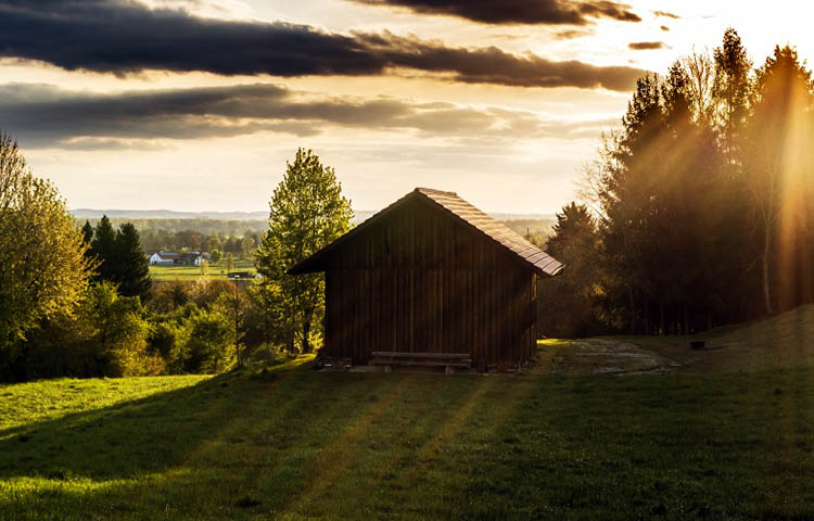 Diferencias entre granja y rancho