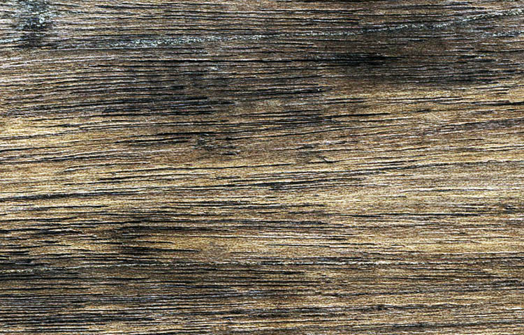 Diferencias entre madera dura y madera blanda