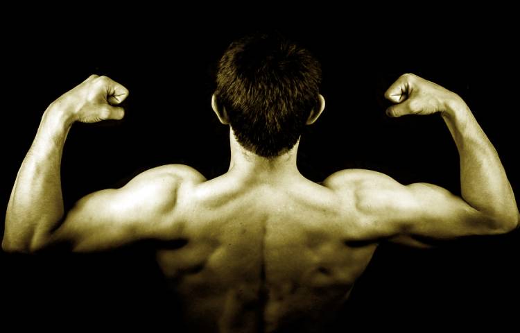 Diferencias entre músculo liso y músculo esquelético