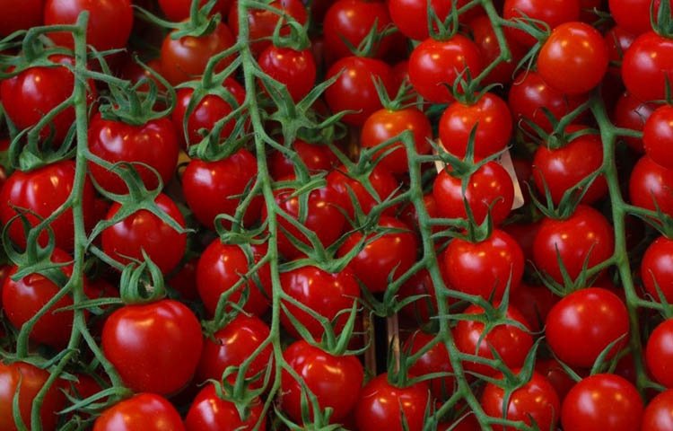 Diferencias entre tomates uva y tomates cherry