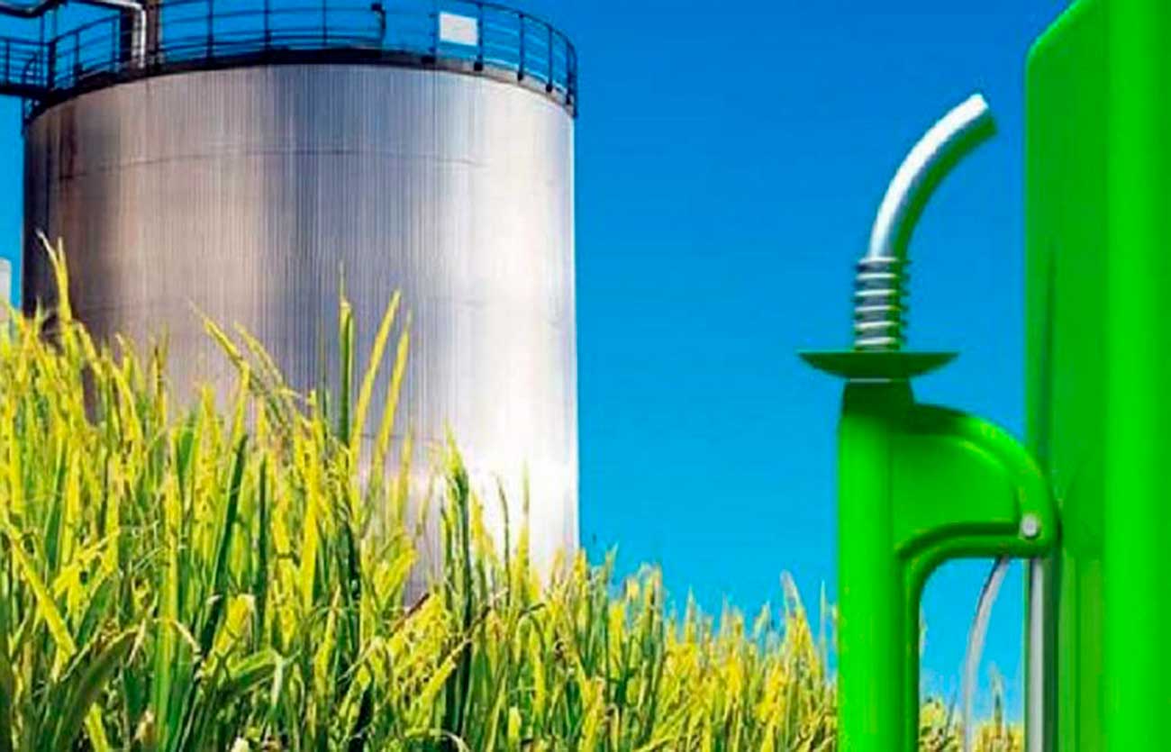 Cuál es la producción del biodiesel