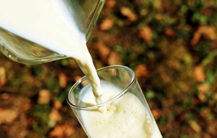 Diferencias entre leche y crema de leche
