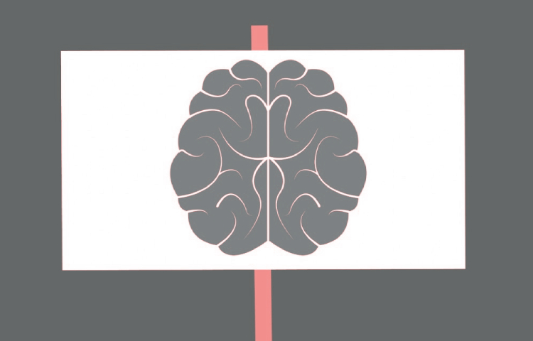 Diferencias entre neuronas sensoriales y motoras